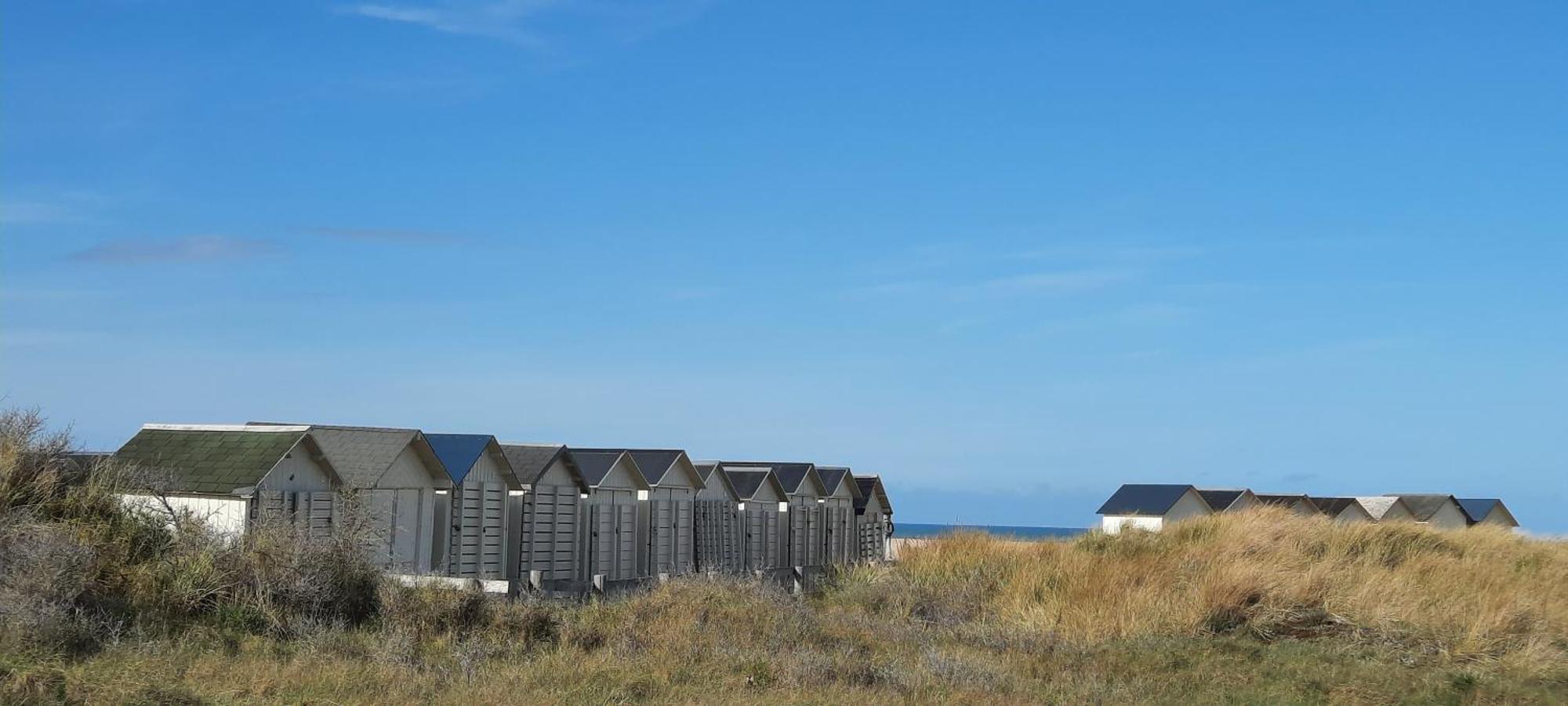 La Petite Taupe - Chambres D'Hotes Saint-Omer  Екстер'єр фото